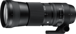 Sigma 150-600 Lens
