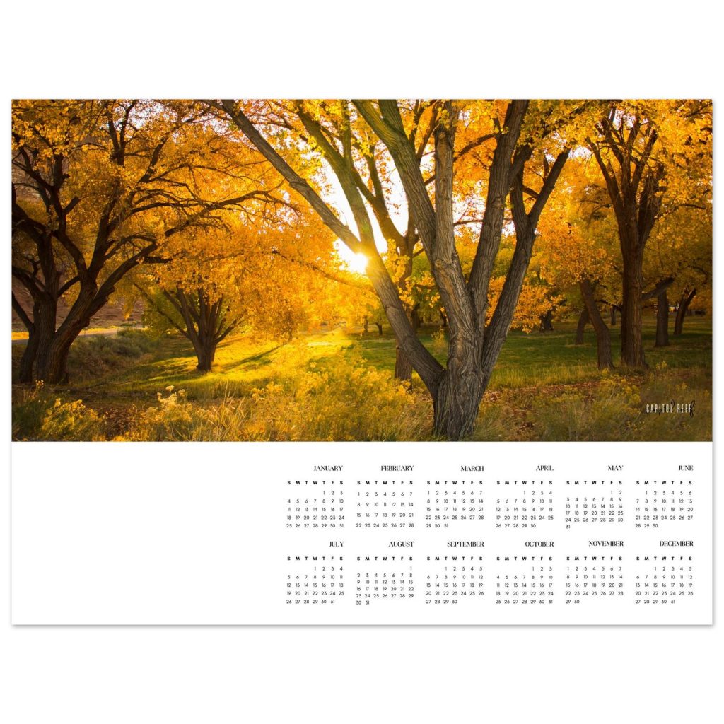 05936019-5ce2-4bfc-acf6-d6c95aaa2096